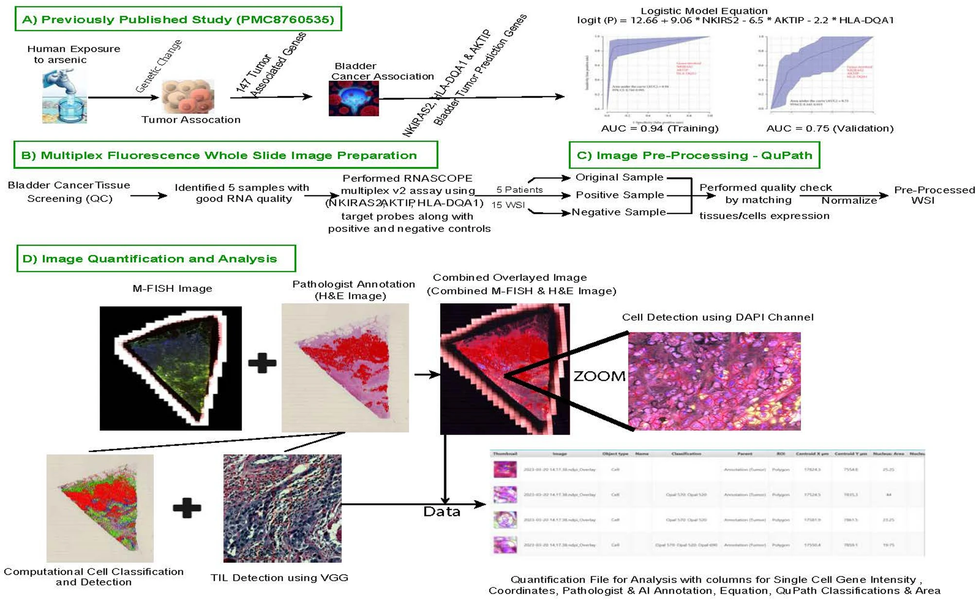 Equitable Biomarker Discovery Visualization